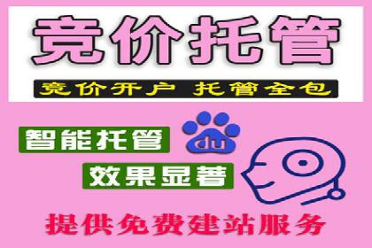 sem竞价推广托管的创新应用案例分享